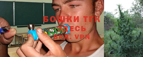 дживик Балахна