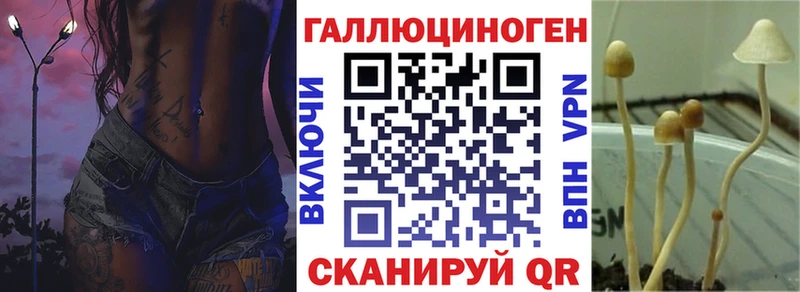 Галлюциногенные грибы мицелий  Гаврилов-Ям 